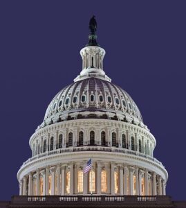 a photo of the USA Capitol Dome at night