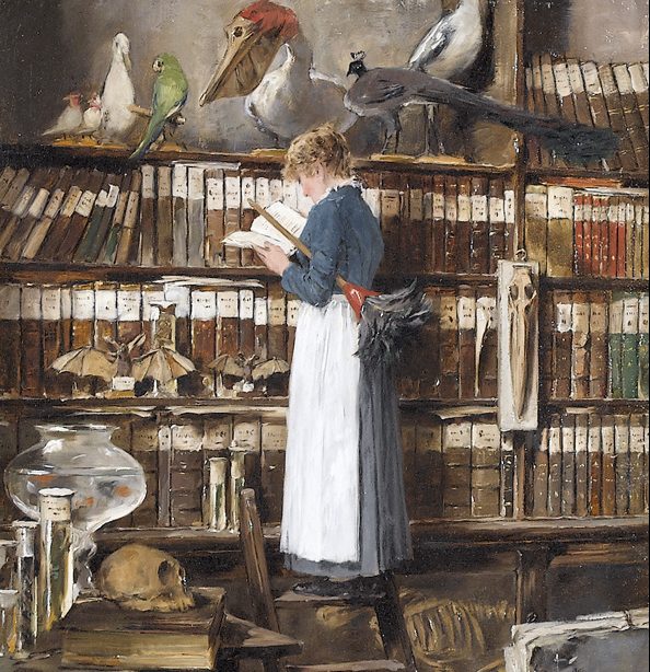 Public Domain photo of "Library Painting" by Edouard John Mentha Lesendes Dienstmädchen that shows a women, in a library filled with books and taxidermy specimens, who is looking at a book while in the midst of cleaning the shelves