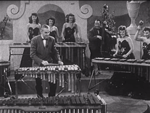 a photo featuring Reg Kehoe playing his Marimba